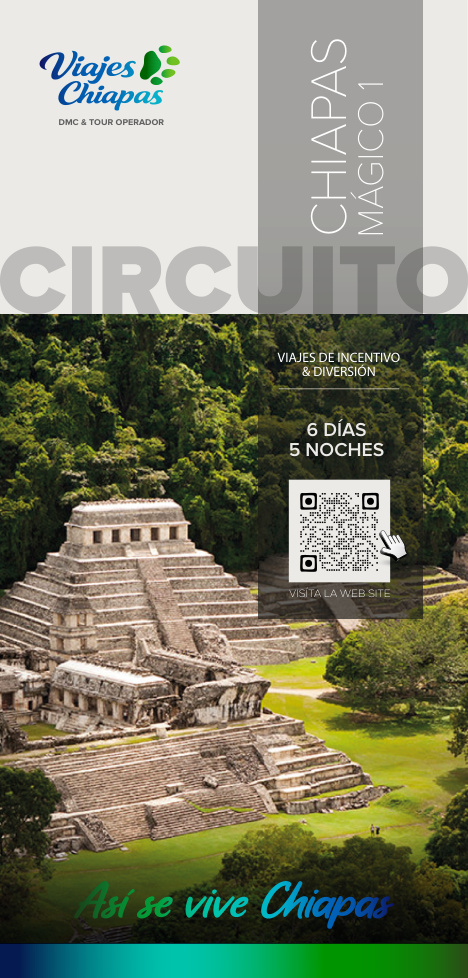 Chiapas Experience